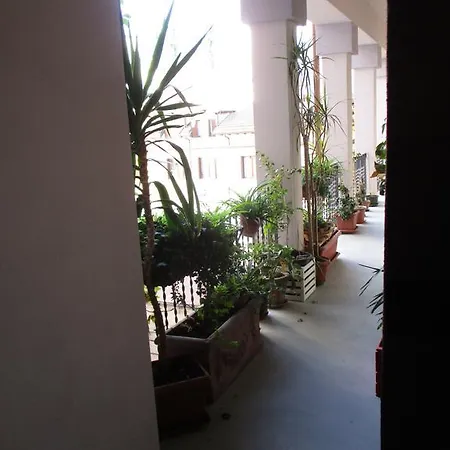 Isola's Studio